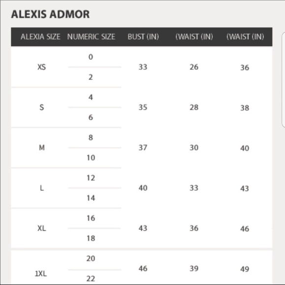 Alexia Admor Embroidered Mesh Floral‎ Sheath Dress - Picture 8 of 8